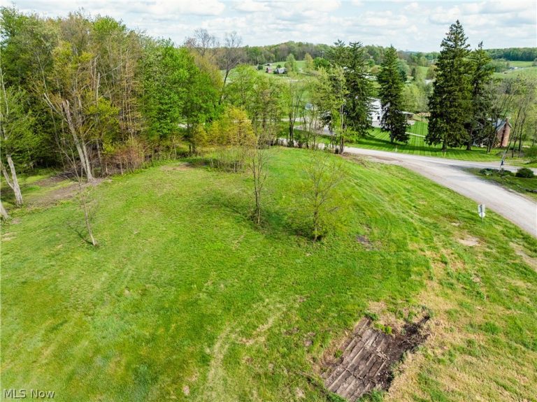 8089 Nebraska Road, Dundee, OH - Photo 5