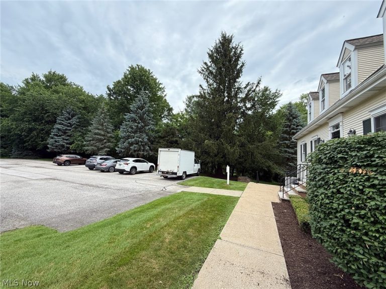 255 Park Place, Chagrin Falls, OH - Photo 6