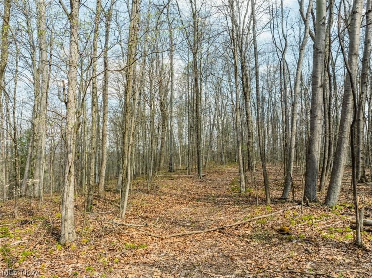 Captina Highway Road, Alledonia, OH - Photo 6