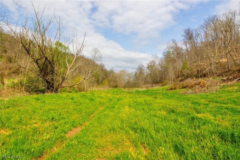 Twp Rd 63 Deans Fork #3, Whipple, OH - Photo 4