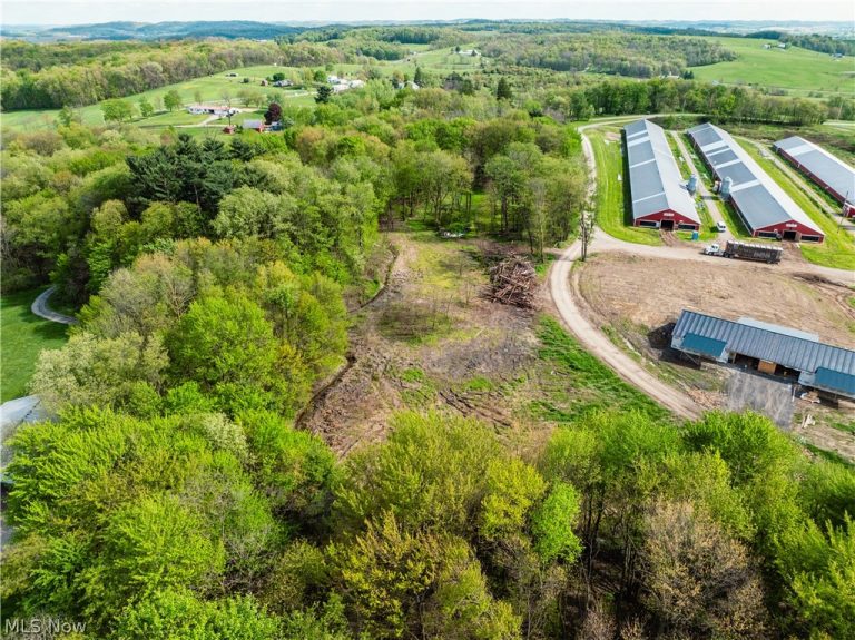 8089 Nebraska Road, Dundee, OH - Photo 4