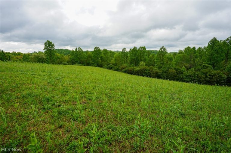 Van Fossen Ln, Chesterhill, OH - Photo 2