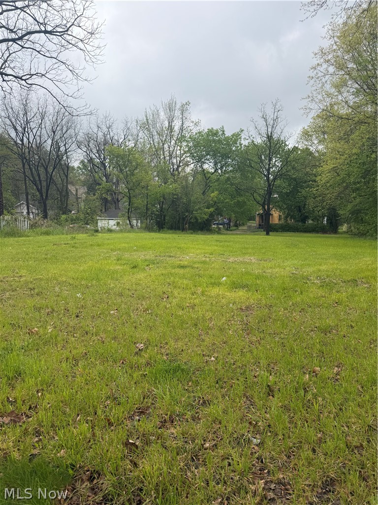 463 Chestnut Street, Ravenna, OH - Photo 2