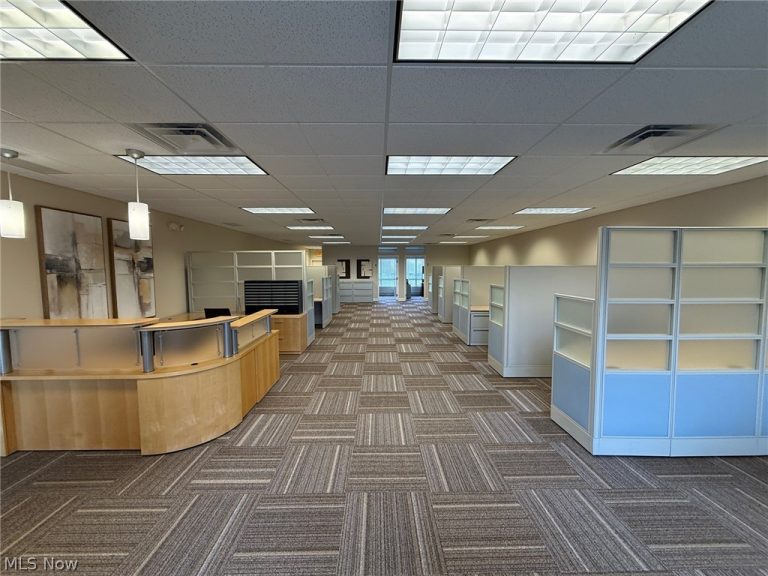 31320 Solon Road #19, Solon, OH - Photo 3