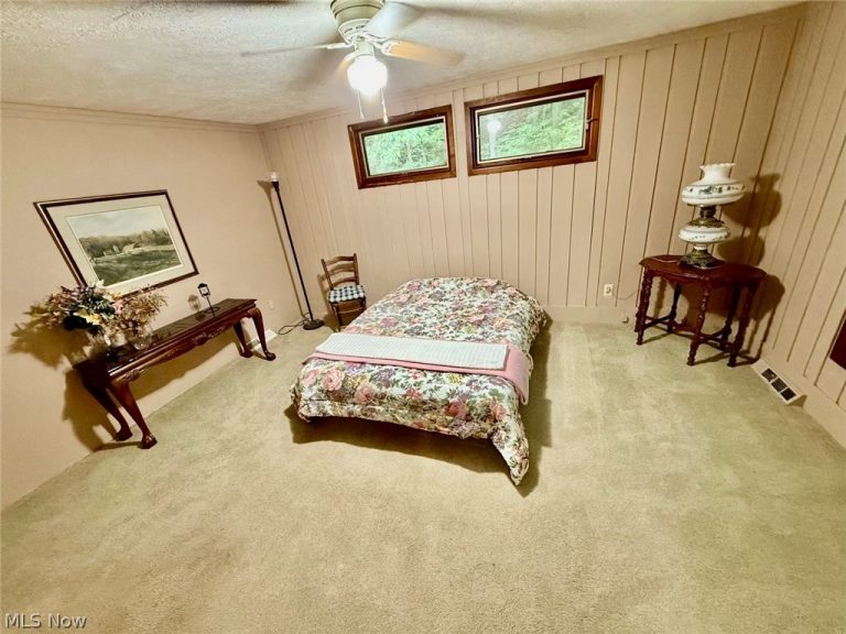 9090 Peasley Road, Brownhelm, OH - Photo 8
