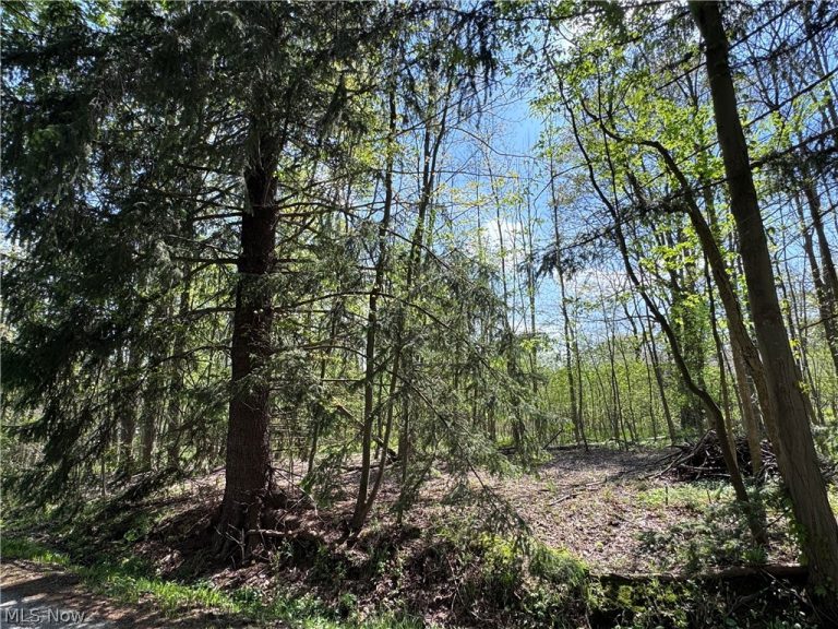 11664 Chestnutdale Road, Chardon, OH, 44024