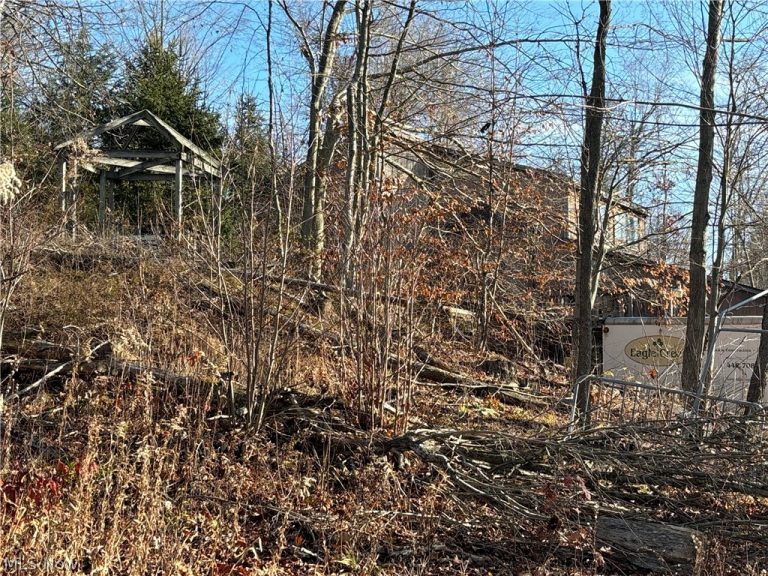 10785 Bell Road, Newbury, OH - Photo 2