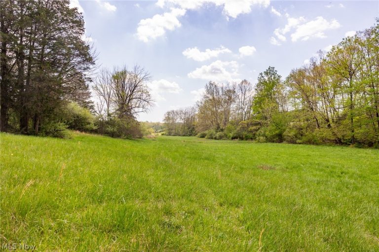 9651 Reno Lane, Hillsboro, OH - Photo 5