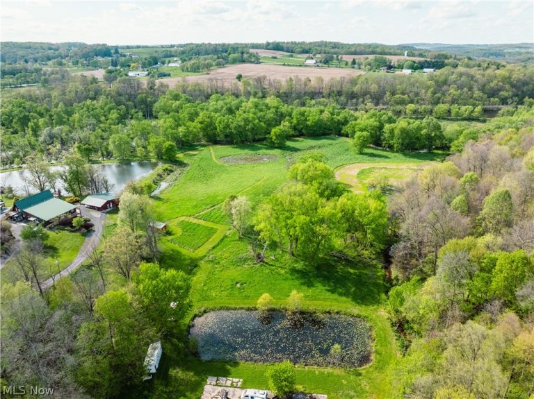 8480 Possum Hollow Road, Dundee, OH - Photo 4
