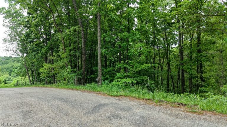 Tatman Road, Uhrichsville, OH - Photo 3