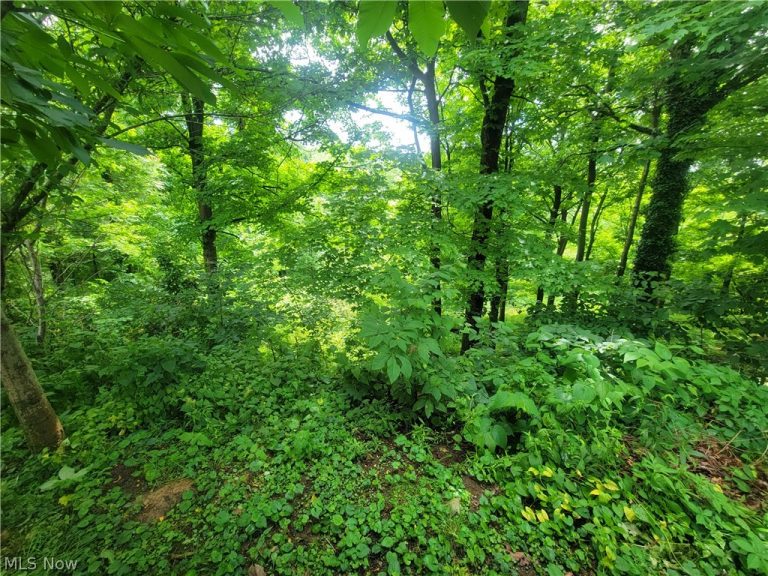 185 Belavista Drive, Marietta, OH - Photo 6