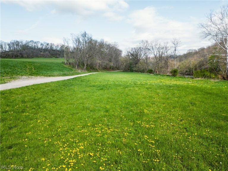 Captina Highway Road, Alledonia, OH - Photo 2