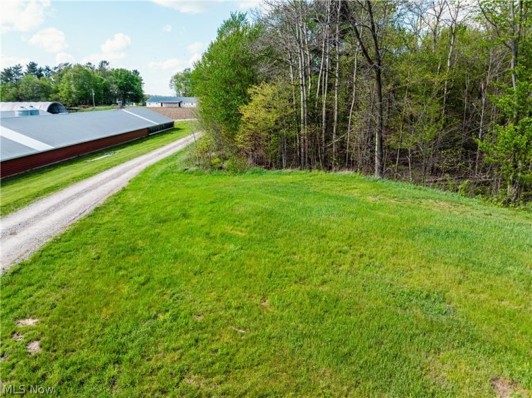 8089 Nebraska Road, Dundee, OH - Photo 6