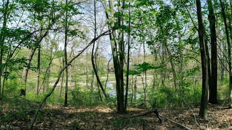 V/L Surfside, Coventry, OH - Photo 4