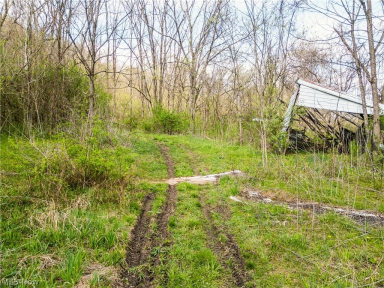 Captina Highway Road, Alledonia, OH - Photo 6