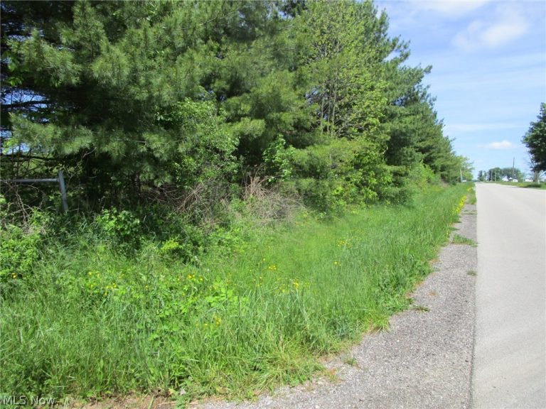 VL Doyle Road, Jefferson, OH - Photo 5