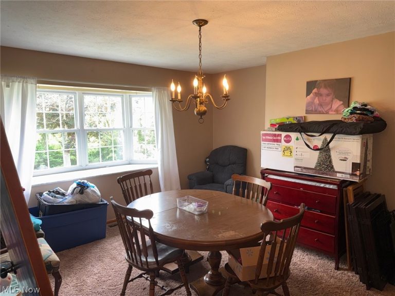 83 Watson Lane, Belpre, OH - Photo 8