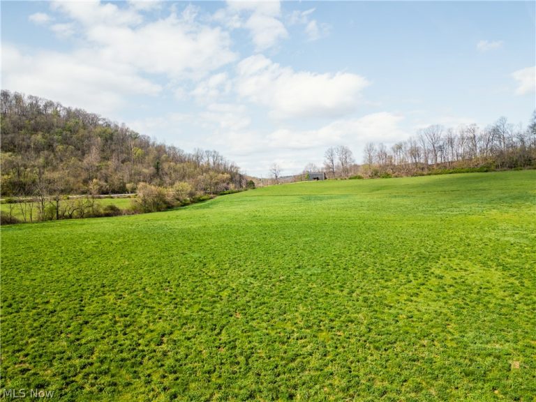 47691 Captina Highway Road, Alledonia, OH - Photo 6