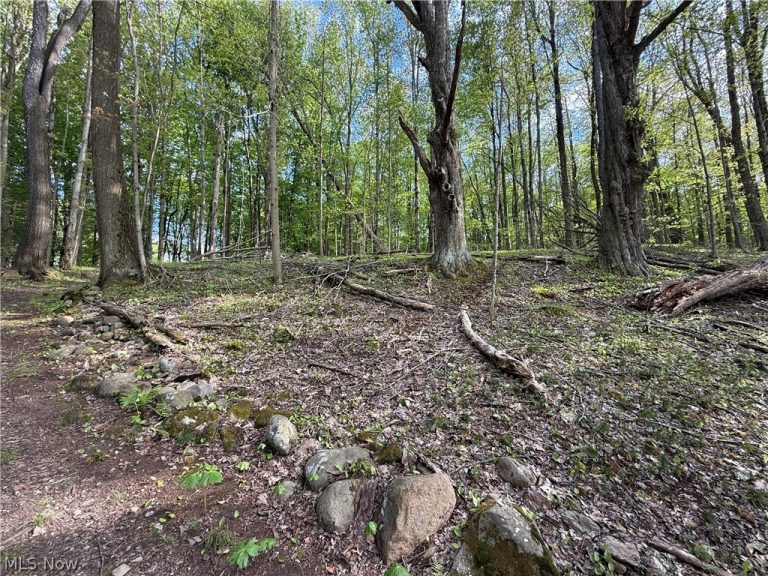 10633 Sherman Road, Chardon, OH - Photo 8