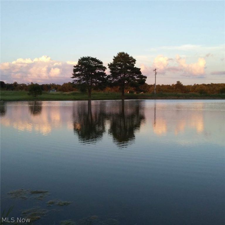 Firestone Road, Homerville, OH - Photo 4