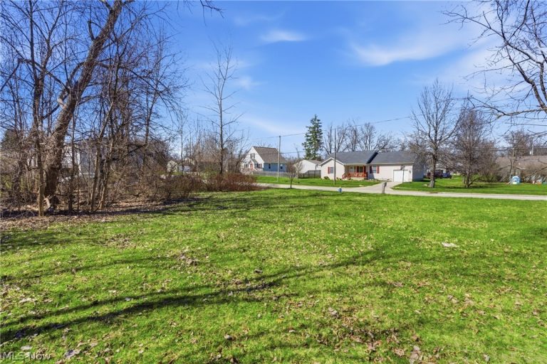 2048 Buchtel Street, Twinsburg, OH - Photo 4