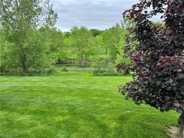 9338 Towpath Trail, Seville, OH - Photo 5