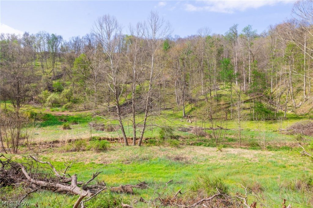 Twp Rd 63 Deans Fork #3, Whipple, OH