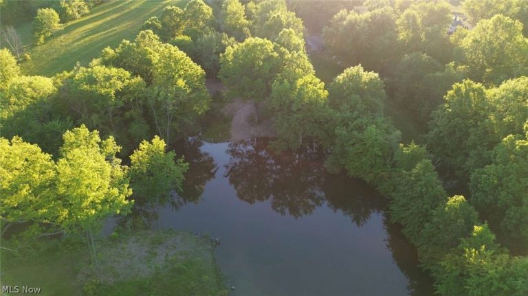 Leffingwell Road, North Benton, OH - Photo 6