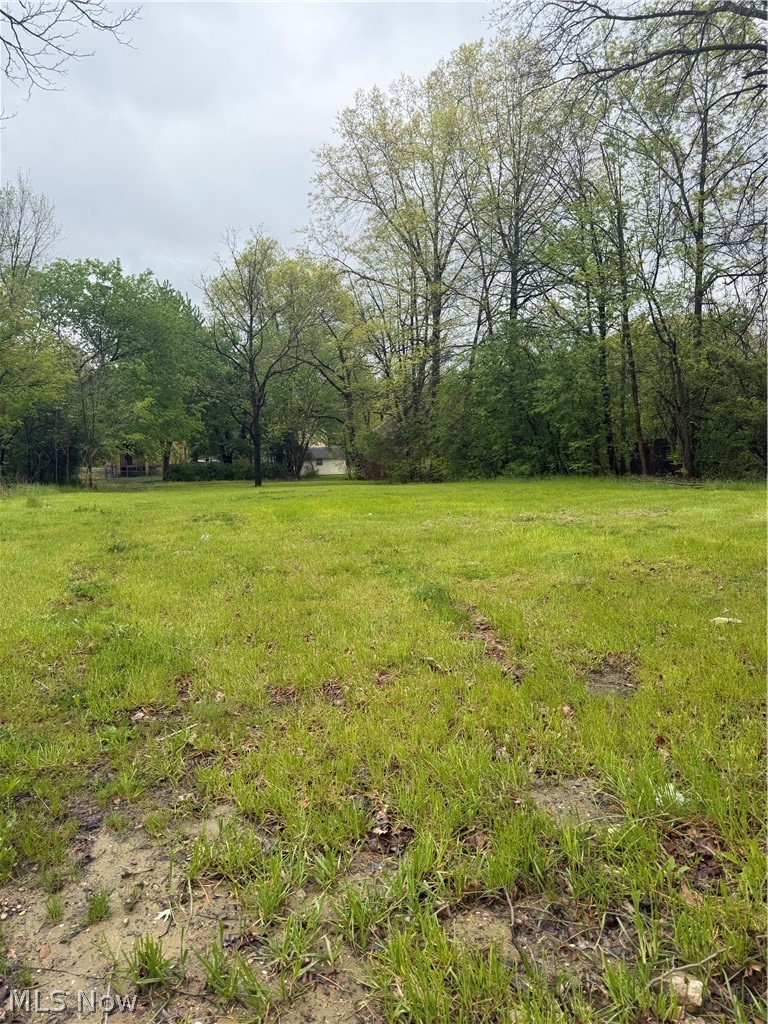 463 Chestnut Street, Ravenna, OH - Photo 3