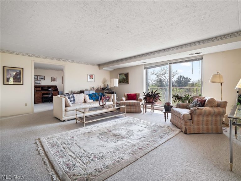 50 Rocky River Drive #705, Berea, OH - Photo 5