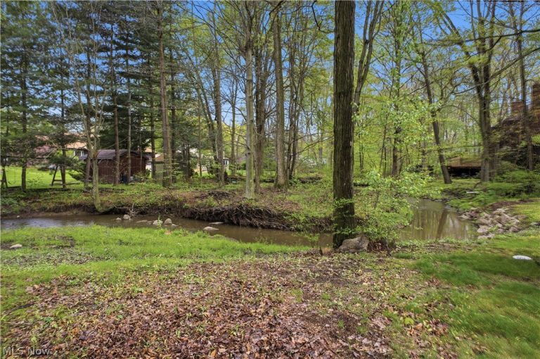 505 Sycamore Trail, Cortland, OH - Photo 3
