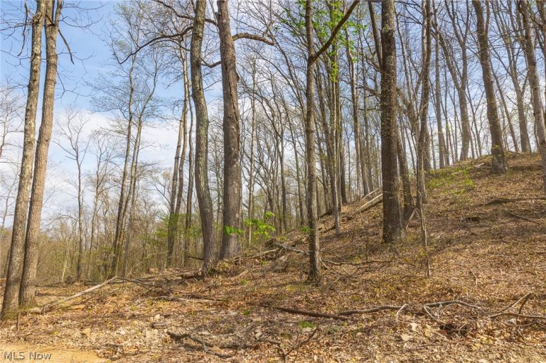 Twp Rd 63 Deans Fork Rd #5, Whipple, OH - Photo 5