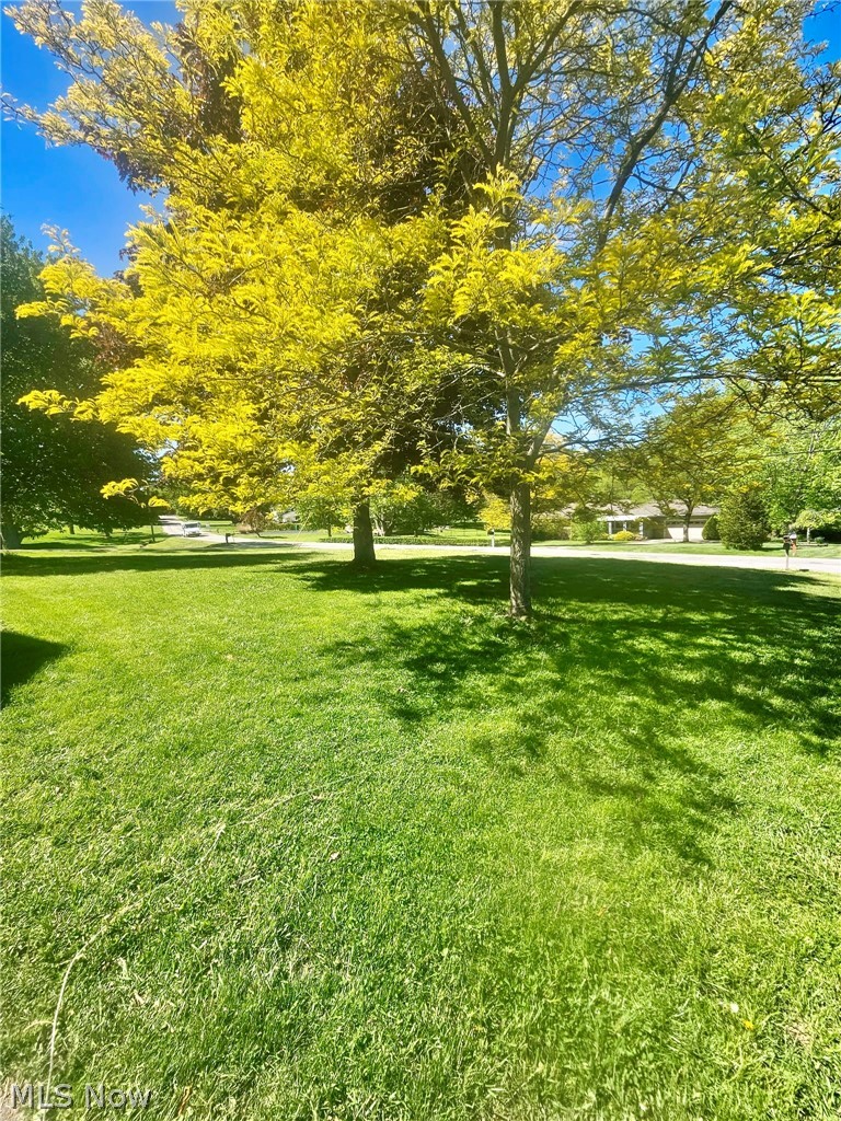 10481 Briar Hill Drive, Kirtland, OH - Photo 6