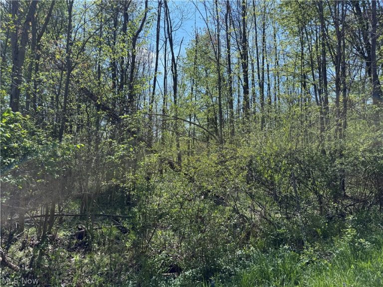 11664 Chestnutdale Road, Chardon, OH - Photo 6
