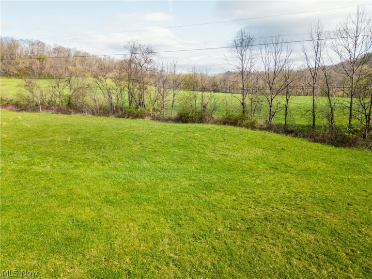 Captina Highway Road, Alledonia, OH - Photo 2