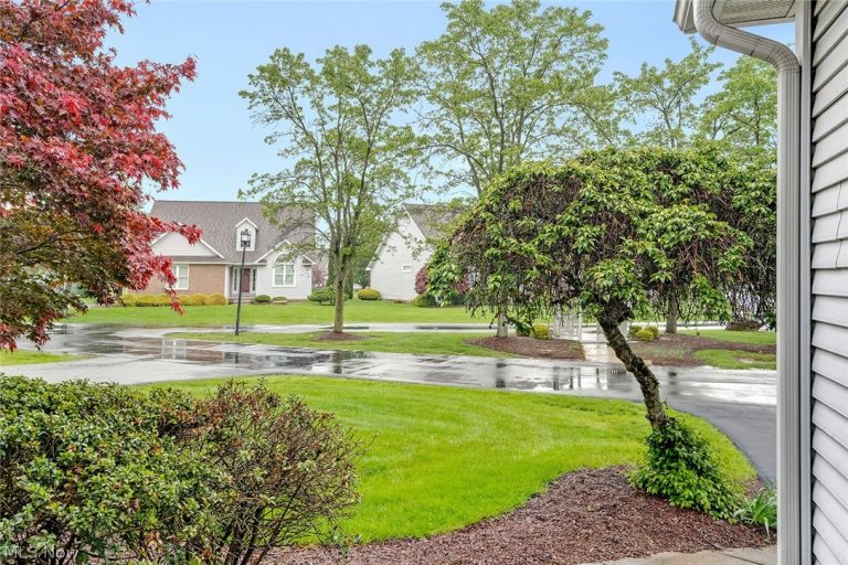 90 Lake Pointe Circle, Canfield, OH - Photo 5