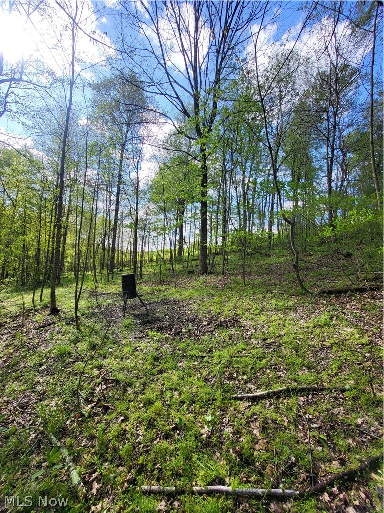 Township Road 62, Dresden, OH - Photo 4