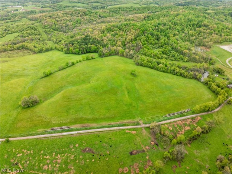 Timmerman Road, Bowerston, OH - Photo 3