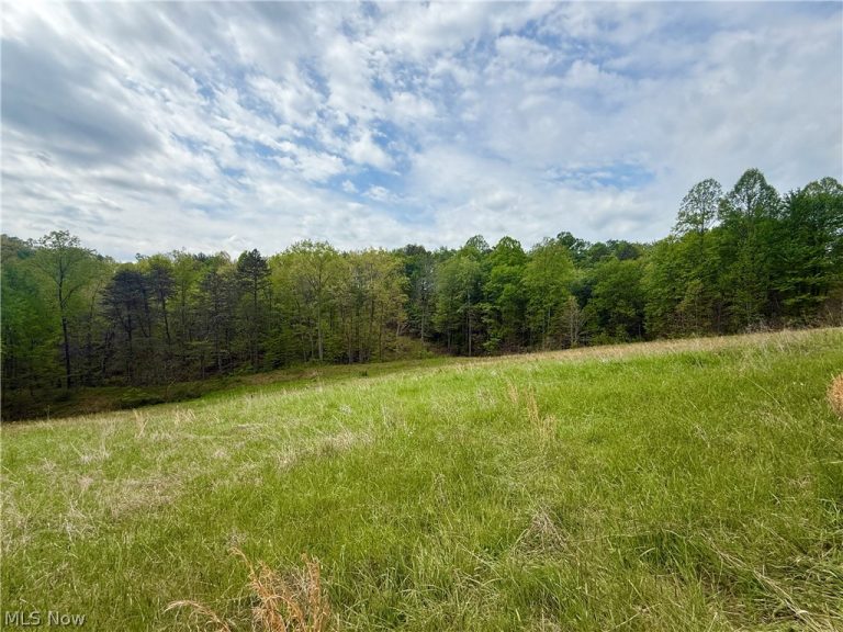 County Line Road, St Marys, WV - Photo 3