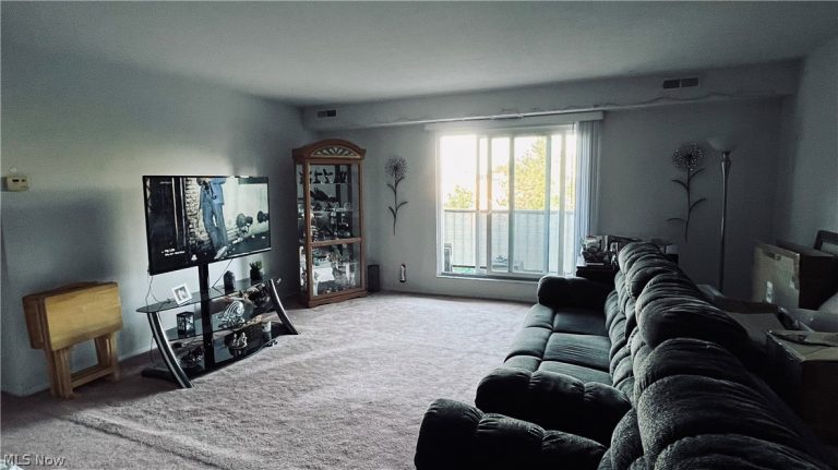3675 Clague Road #306, North Olmsted, OH - Photo 8