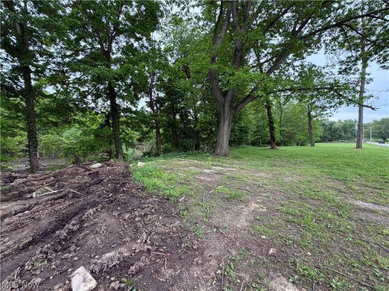 9098 Diagonal Road, Streetsboro, OH - Photo 5