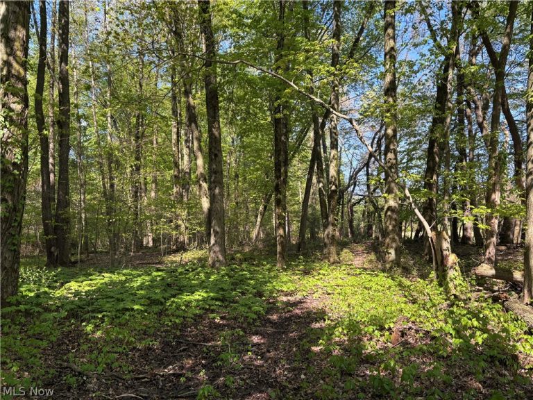 6060 Dalton Fox Lake Road, North Lawrence, OH - Photo 4
