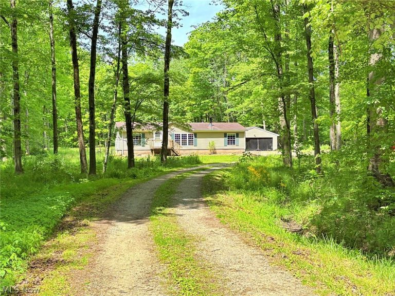 4233 County Line Road, Diamond, OH - Photo 4