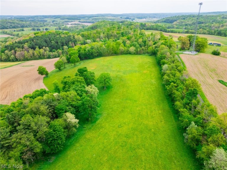 Summitville Road, Salineville, OH - Photo 6