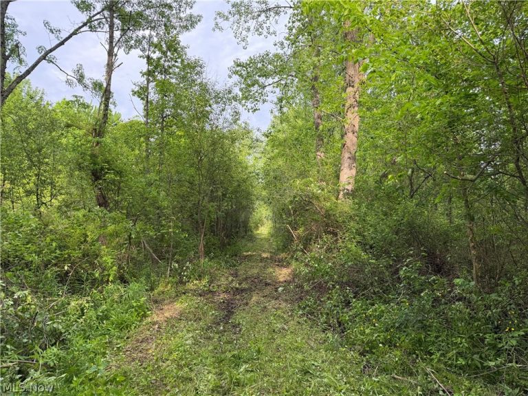 Dayton Road, Madison, OH, 44057