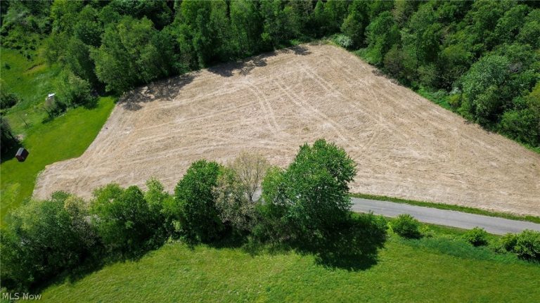 Degen Road, Stone Creek, OH - Photo 4