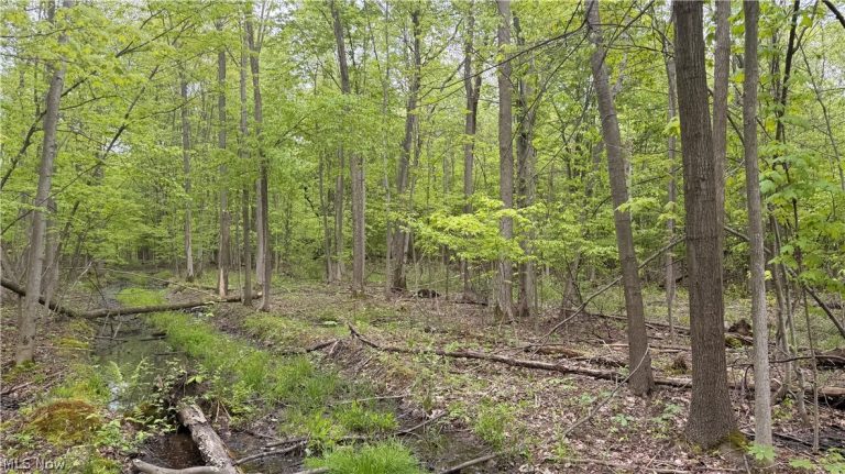 Munson Hill Road, Ashtabula, OH - Photo 6