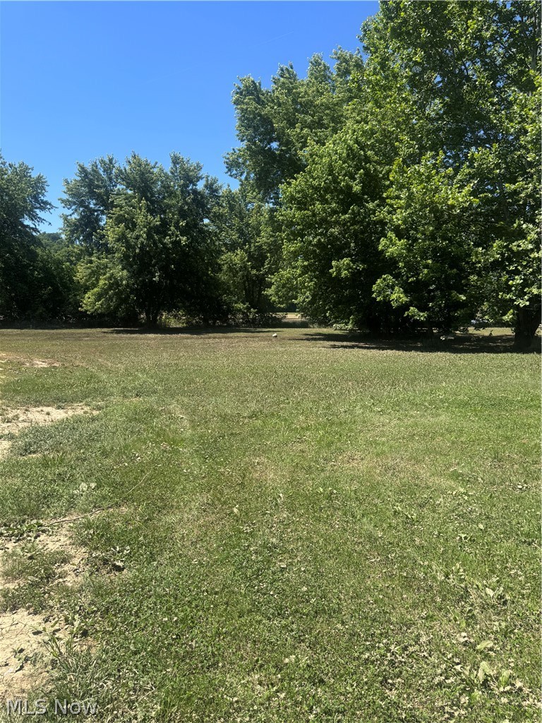 Shady Lane, Blue Rock, OH - Photo 6