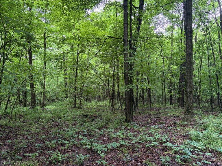 8416 Township Road 551, Shreve, OH - Photo 4