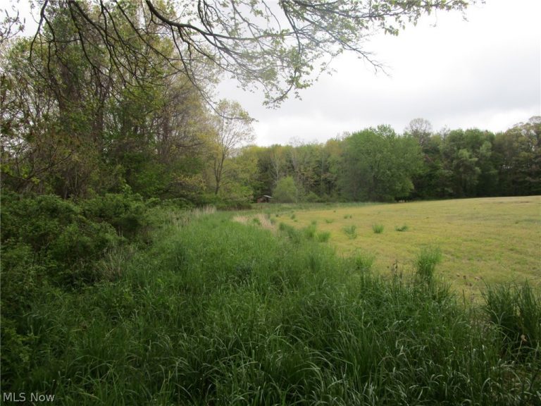 Daniels Avenue, Conneaut, OH - Photo 5